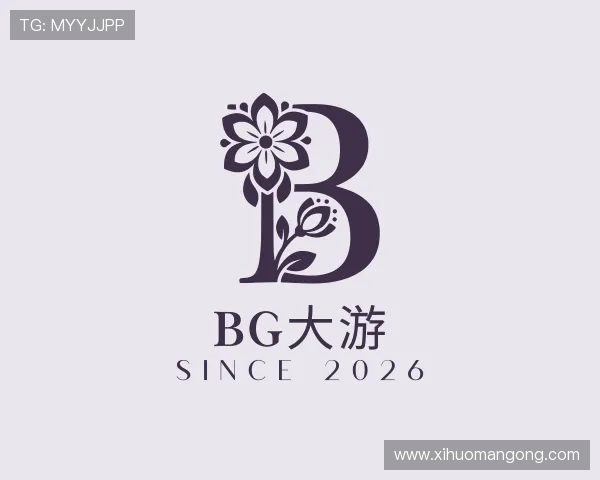 解读BG大游